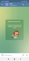14.webp