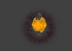 6.webp